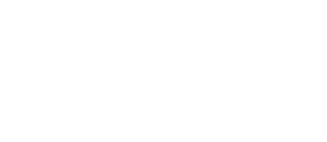 wellensteyn logo